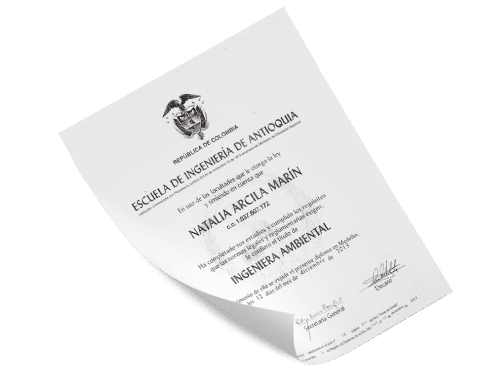 Environmental Engineer