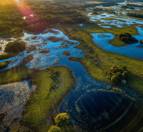 Cambio climático y biodiversidad